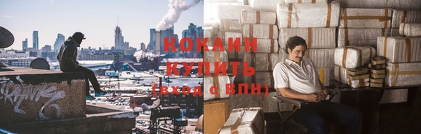 apvp Новозыбков